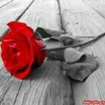 Profile Picture of Lama Deeb (@deeblama) on Instagram