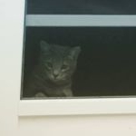 Profile Picture of Keith Couch (@keithstanleycouch) on Instagram