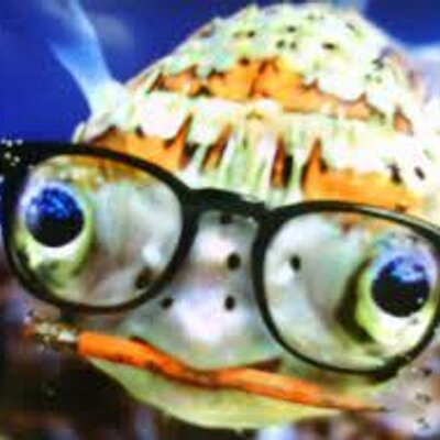 Profile Picture of Hunter D. Durham (@HunterDDurham) on Twitter