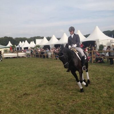 Profile Picture of David Van Oosterhout (@david16jr) on Twitter