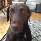 Profile Picture of Shawn Stanfill (@shawnstanfill8588) on Youtube