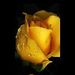Profile Picture of Prashant Solanki (@prashantsolanki118) on Pinterest