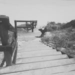 Amanda Bonner - Instagram Profile Picture of Amanda Bonner (@_amanda.bonner_) on Instagram