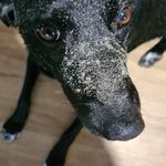 Profile Picture of Glenn Carruthers (@glenncarruthers) on Instagram