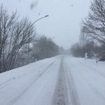 Profile Picture of Jason Shindler (@ph_addicted) on Instagram