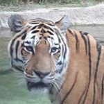 Profile Picture of Davide (@davide.furfaro04) on Instagram