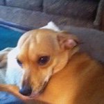 Profile Picture of Randy Ammons (@rammo51) on Instagram