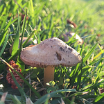 Profile Picture of Rudy Diaz (@rudydeez2) on Flickr