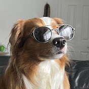 Profile Picture of John Fournet (@John.Fournet) on Youtube