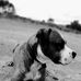 Profile Picture of Nikos Katsapis (@nikos.katsapis) on Facebook
