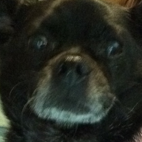 Profile Picture of Jason Oberer (@jasonwoberer) on Poshmark