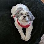 Profile Picture of Peggy Kaufman (@peggykaufman21) on Instagram