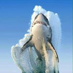 Profile Picture of Gabriel Bifulco (@gabriel_bifulco_) on Instagram