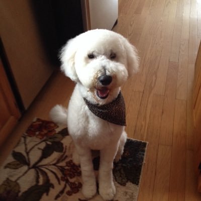 Profile Picture of Billy Pilgrim (@StevenSuppa1) on Twitter