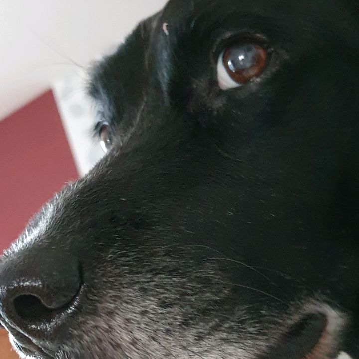 Michael Holberg - Tiktok Profile Picture of Michael Holberg (@michaelholberg) on Tiktok