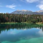 Profile Picture of Dave Ashby ® (@dave11ashby) on Instagram