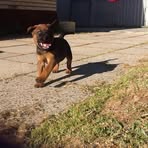 Profile Picture of Logan Stubbs (@logan.stubbs.18) on Facebook