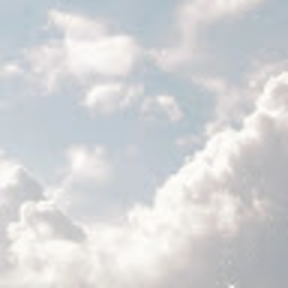 Profile Picture of Maya Mccoy (@pupydogpalz) on Poshmark