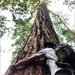 Profile Picture of Dave Castonguay (@galactic_dave) on Instagram