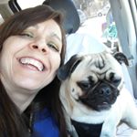 Profile Picture of pamela mayer (@mayerfourseasons) on Instagram