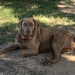 Profile Picture of Tosha Jones (@toshajones22) on Instagram