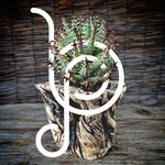 Profile Picture of Brian Paul Designed Pottery (@thepottist) on Instagram