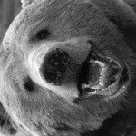 Profile Picture of BLAIR (@ripleyrexltt) on Instagram