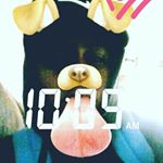 Profile Picture of DAVIDOCEGUEDA (@ft.david8) on Instagram