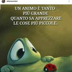 Profile Picture of Rocco Grosso (@lr_puntogr_siracusa) on Instagram