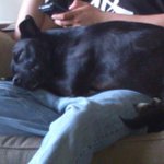 Profile Picture of Scott Keath (@scootter_99) on Instagram