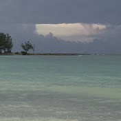 Profile Picture of Ruth Edwards (@ruthedwards4132) on Youtube