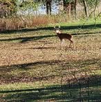 Profile Picture of Greg Griesemer (@greg.griesemer) on Facebook