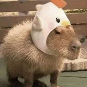 Profile Picture of Bisz (@bisz1188) on Youtube