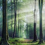 Profile Picture of Jason (@jason_amaral21) on Instagram