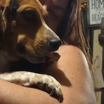 Profile Picture of Jeremy Hutzell (@jeremy.hutzell.7) on Facebook