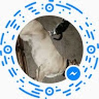 Profile Picture of Mark Greseth (@mark-greseth-1) on Quora