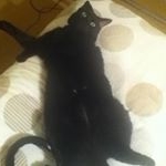 Profile Picture of Luke Clint (@clint_luke) on Instagram