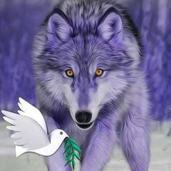 Profile Picture of Mark Hedrick (@mark.hedrick76) on Tiktok