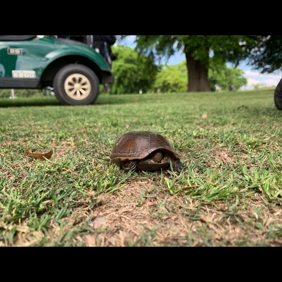 Joey Holloway - Poshmark Profile Picture of Joey Holloway (@joeyholloway) on Poshmark