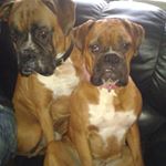 Profile Picture of Martin Mulligan (@martinthemulligan.mulligan) on Instagram