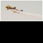 Profile Picture of dora_foster9 (@dora_foster9) on Instagram