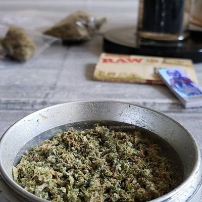 Profile Picture of Daniel Fitzroy (@JFareall) on Twitter