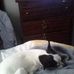 Profile Picture of Herman Wyatt (@herman.wyatt.58) on Facebook