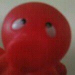 Profile Picture of Scott Legge (@thedukesdog) on Instagram