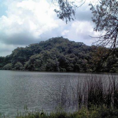 Profile Picture of Erik Nuno (@Erizo2000) on Twitter