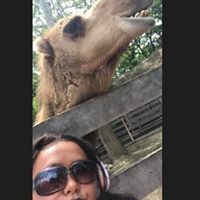 Profile Picture of Rachel Stapleton (@rachel-stapleton-12) on Quora