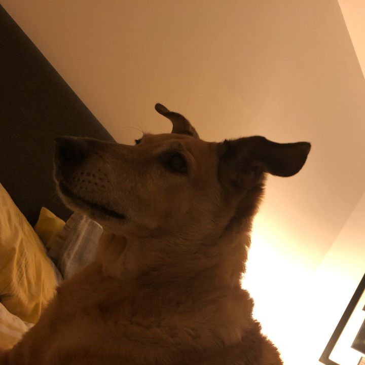 Profile Picture of ben clarke (@@benclarke79) on Tiktok