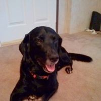 Profile Picture of Gary Hayes (@gary-hayes-31) on Quora