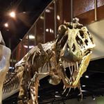 Profile Picture of Lee R. McLeod (@lee.mcleod2) on Instagram