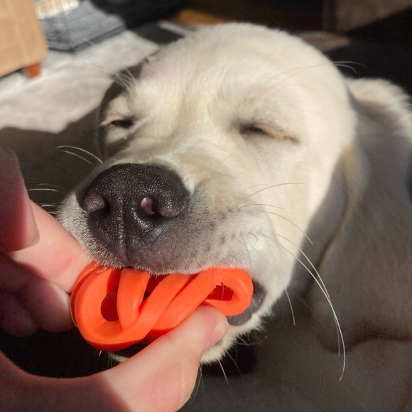 Riley Arbucci - Poshmark Profile Picture of Riley Arbucci (@riley_a514) on Poshmark